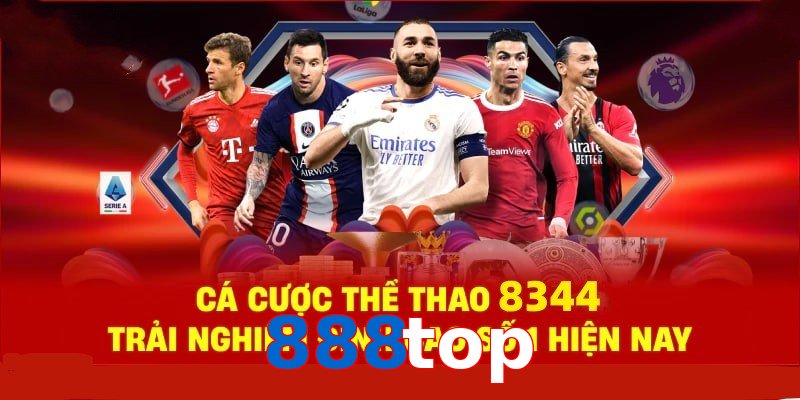 Đá Gà Philippines – Tinh Hoa Truyền Thống Và Thể Thao 